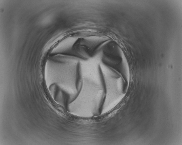 X0000080720245200701051041