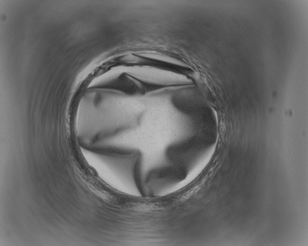 X0000080720246200701051041