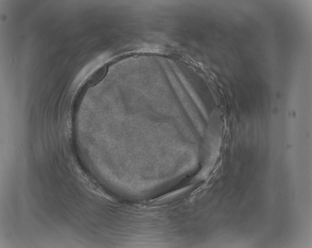 X0000080720247200701051041