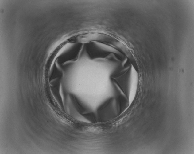 X0000080720248200701051041