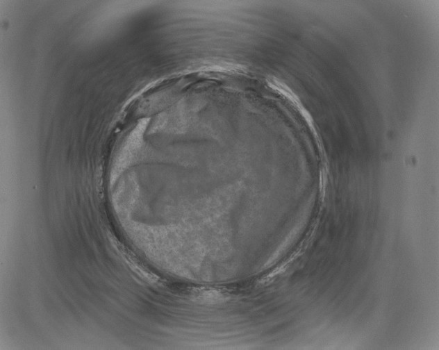 X0000080720249200701051041