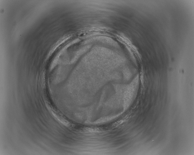 X0000080720250200701051041