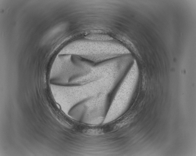 X0000080720251200701051041