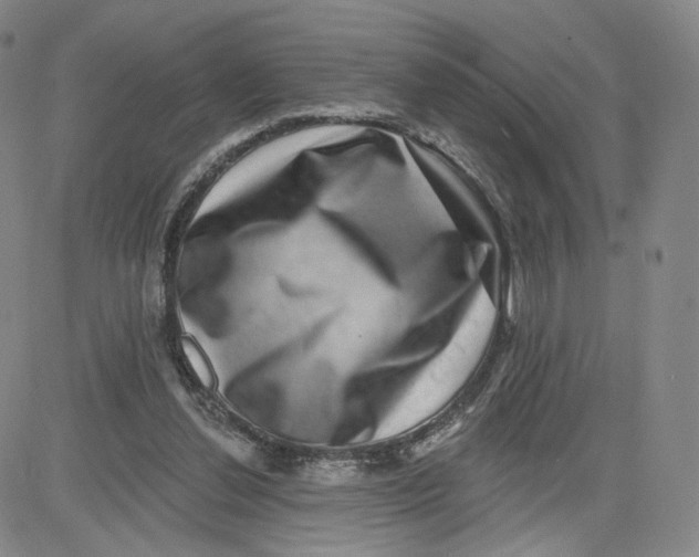 X0000080720252200701051041