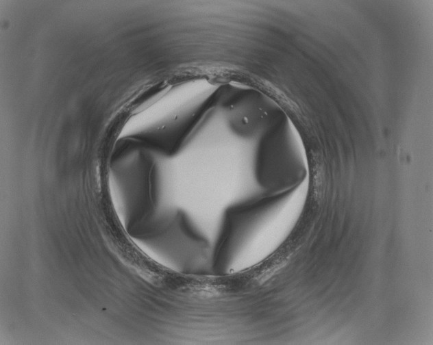 X0000080720254200701051041