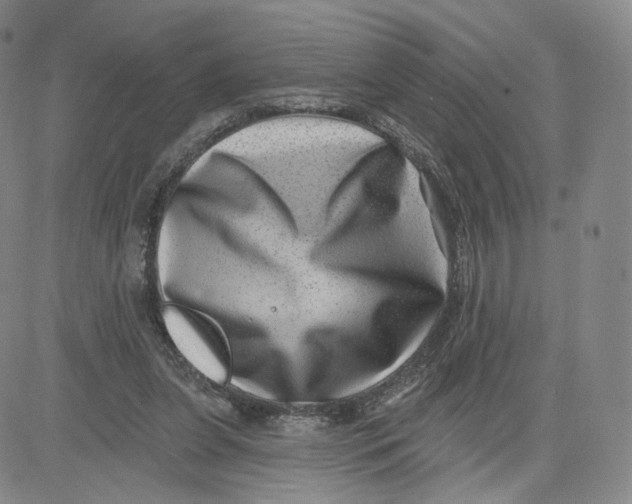 X0000080720255200701051041