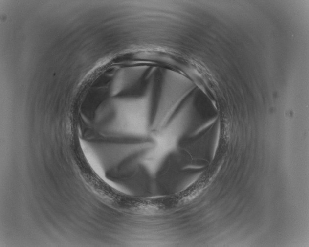 X0000080720256200701051041