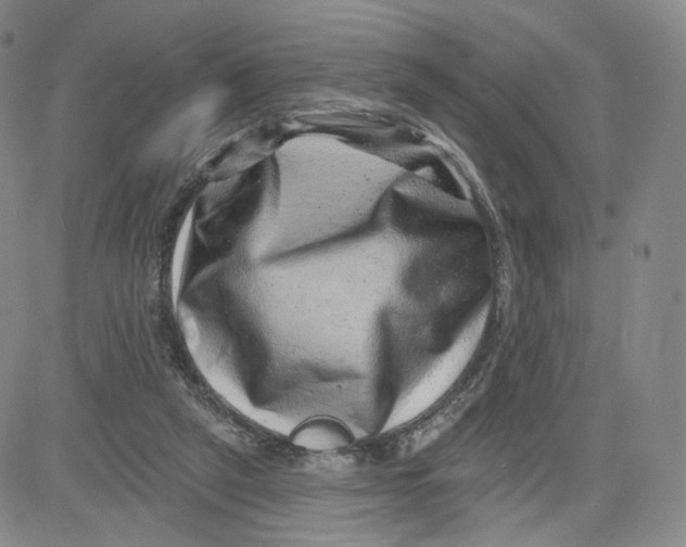 X0000080720257200701051041