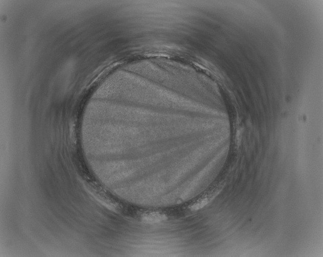 X0000080720258200701051041