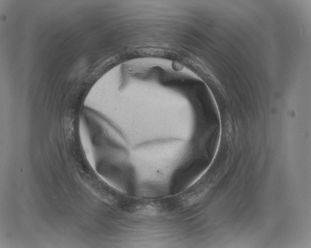 X0000080720259200701051041