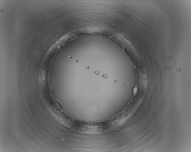 X0000080720260200701051041