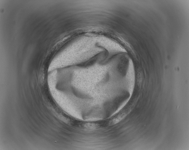 X0000080720261200701051041