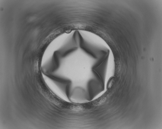 X0000080720262200701051041