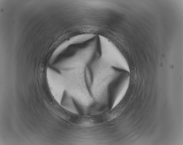 X0000080720263200701051041