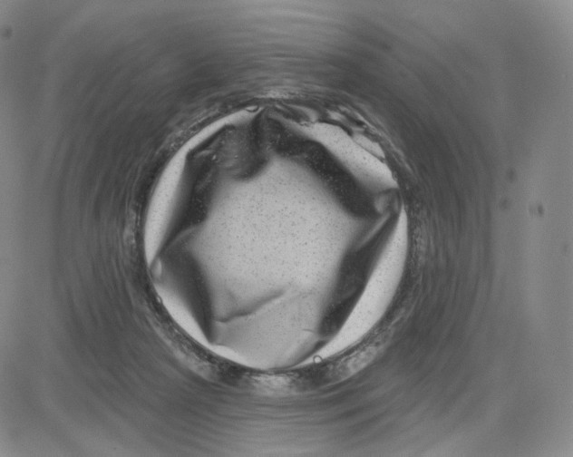 X0000080720265200701051041