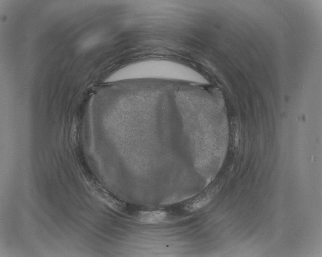 X0000080720266200701051041