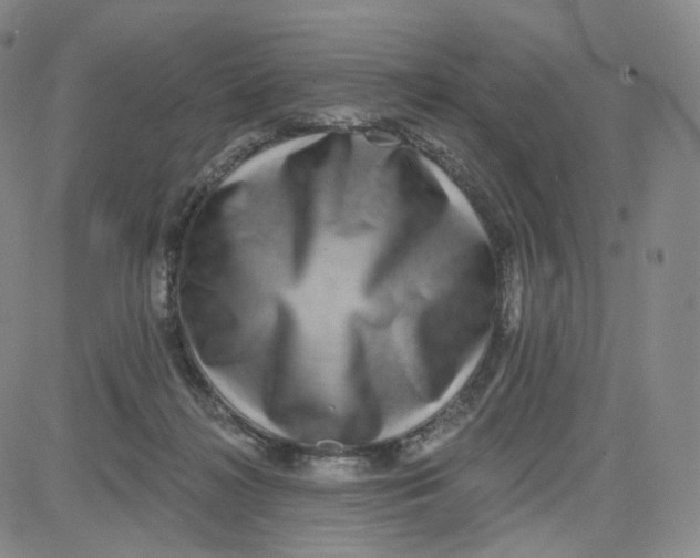 X0000080720268200701051041