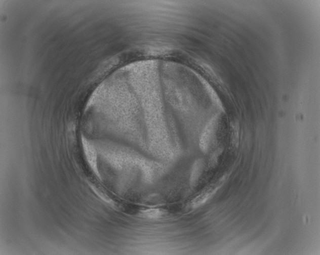 X0000080720269200701051041