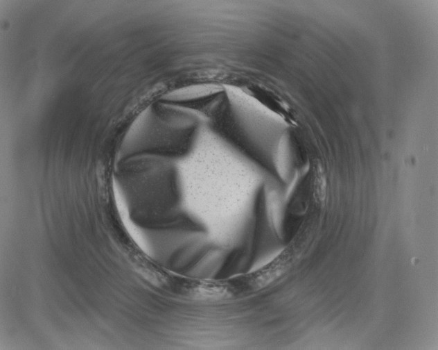 X0000080720270200701051041