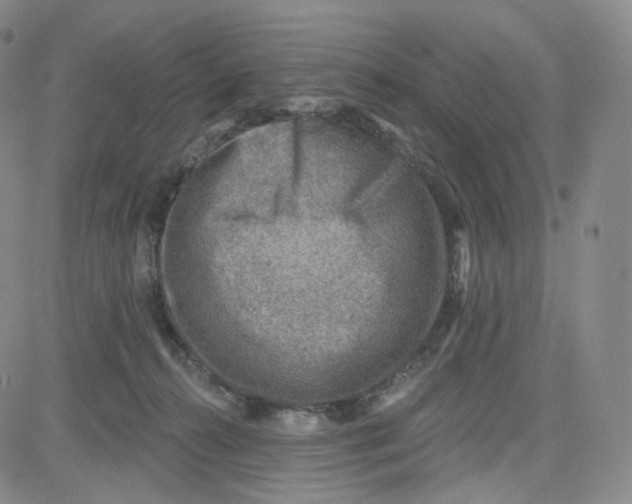 X0000080720272200701051041