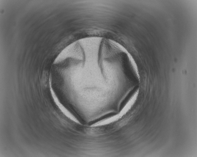 X0000080720273200701051041