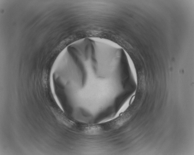 X0000080720274200701051042