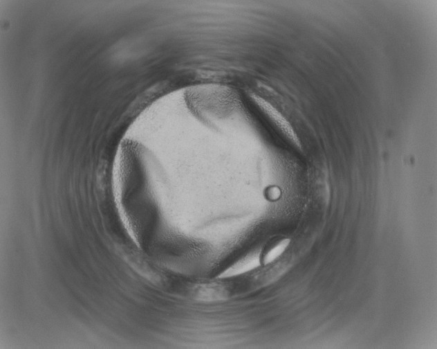 X0000080720275200701051042