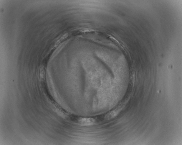 X0000080720277200701051042