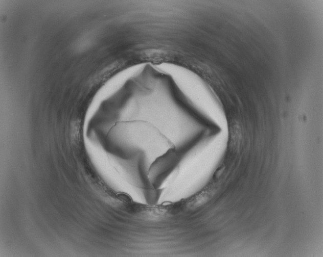 X0000080720278200701051042