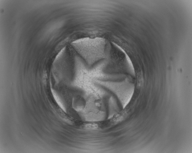 X0000080720279200701051042