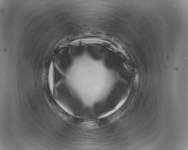 X0000080720280200701051042