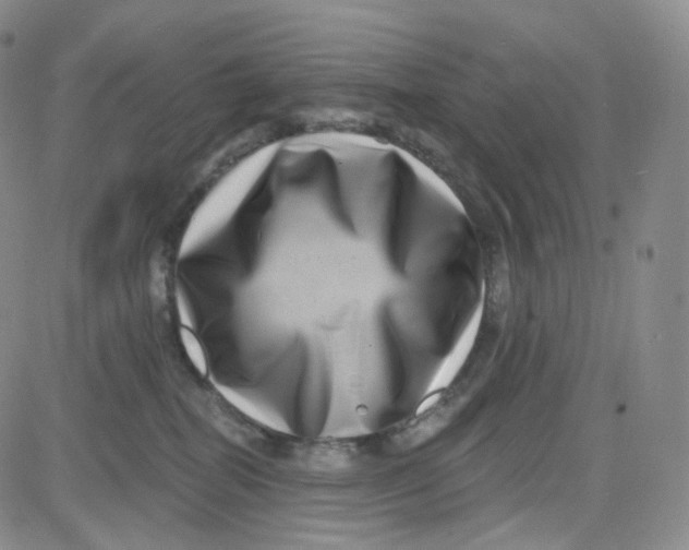 X0000080720282200701051042