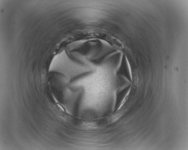 X0000080720283200701051042