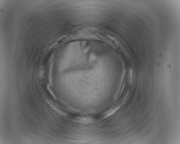 X0000080720284200701051042