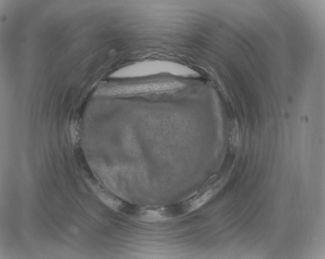 X0000080720285200701051042