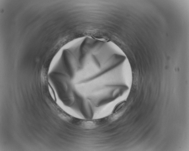 X0000080720287200701051042