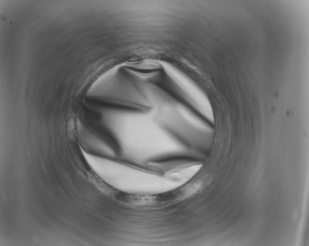 X0000080720288200701051042