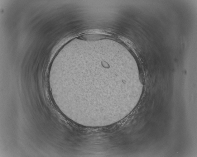 X0000080720289200701051041