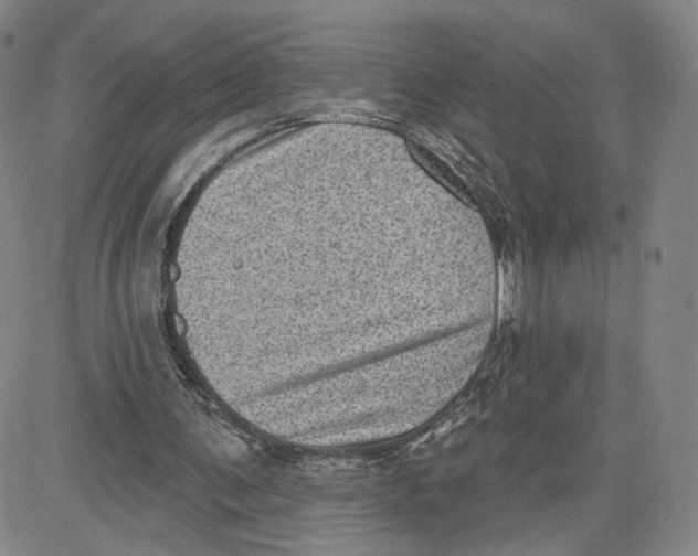 X0000080720291200701051041