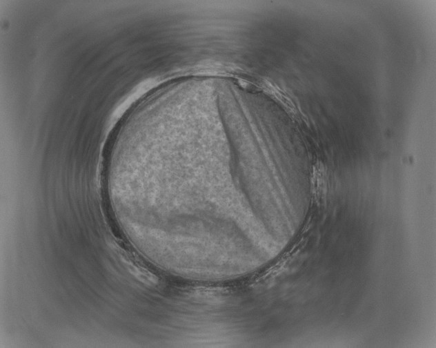 X0000080720292200701051041