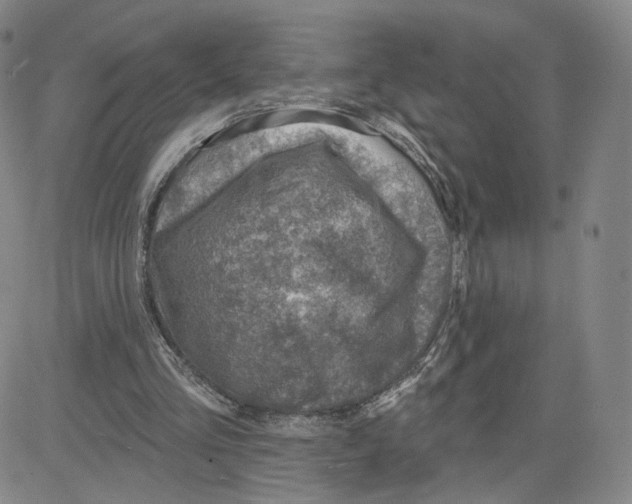 X0000080720293200701051041