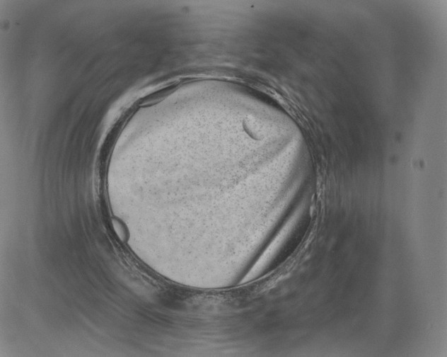 X0000080720294200701051041