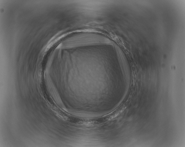 X0000080720295200701051041