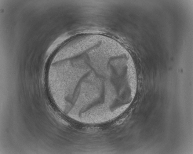 X0000080720296200701051041