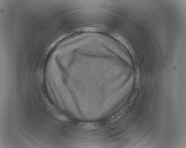 X0000080720297200701051041