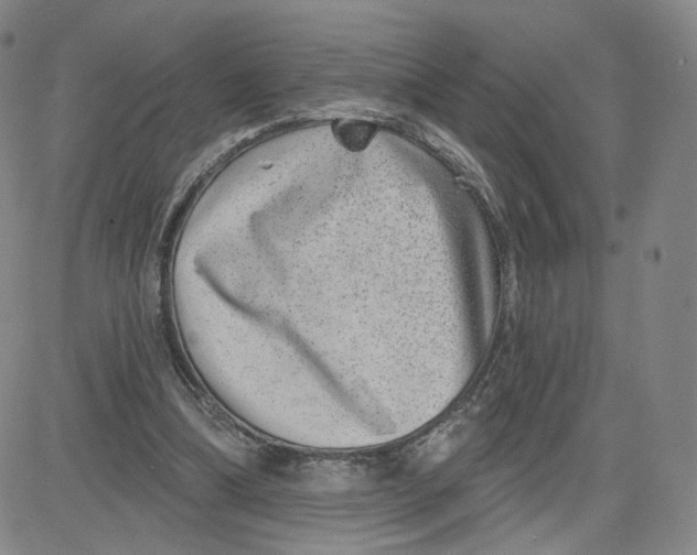 X0000080720298200701051041