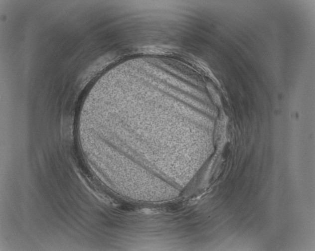 X0000080720299200701051041