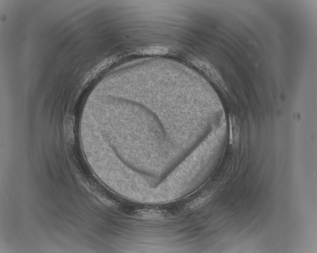 X0000080720300200701051041