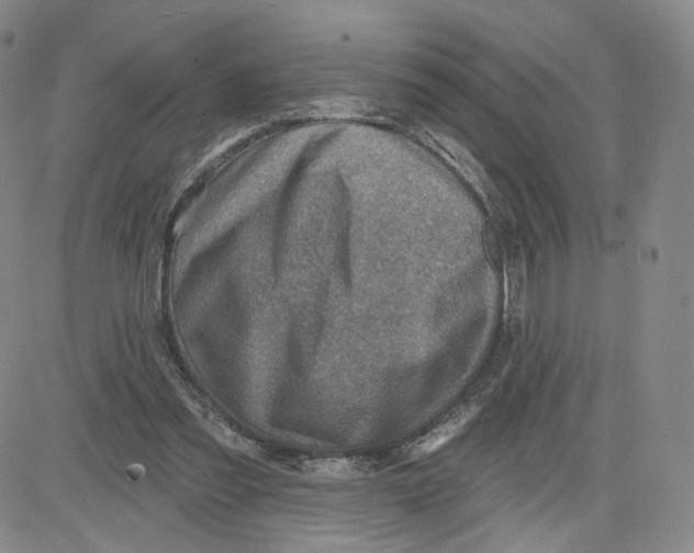 X0000080720301200701051041