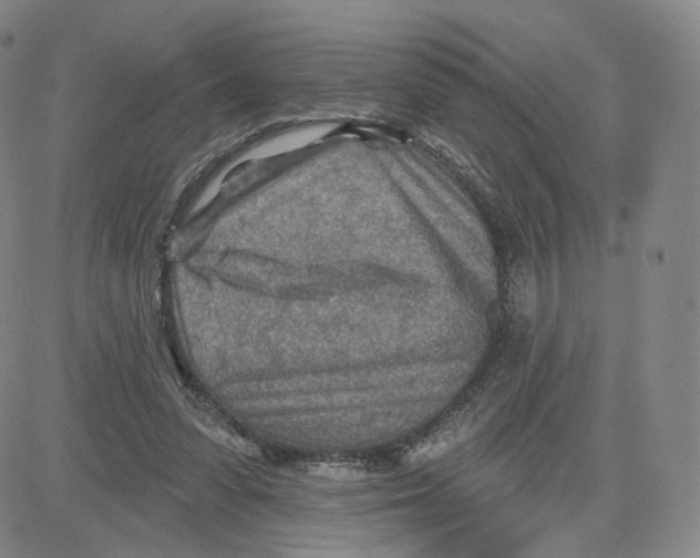 X0000080720303200701051041